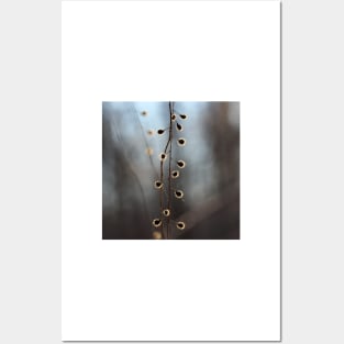 A twig of Autumn wild berries. Posters and Art